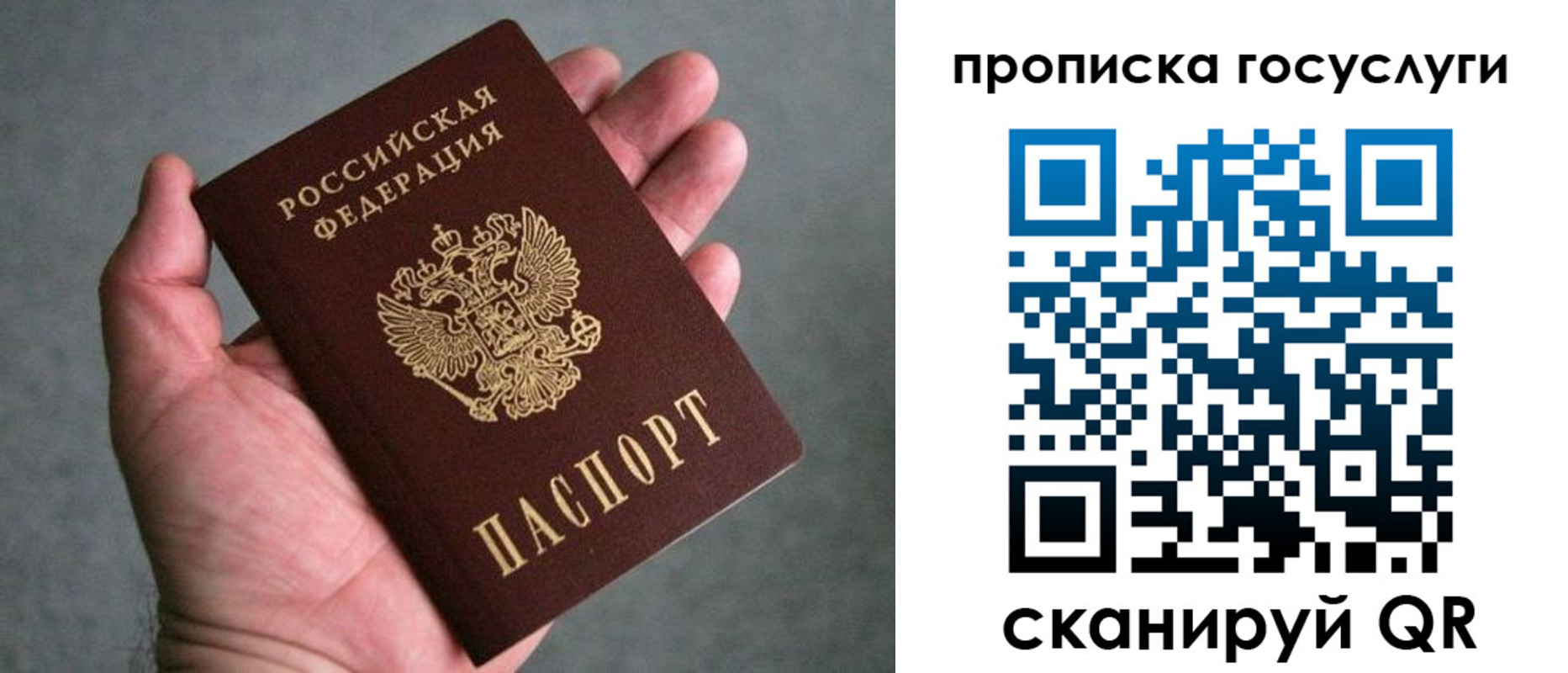 прописка 2025 в Краснодарском крае